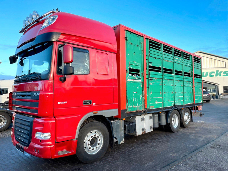 DAF XF 105.460 2-Stock Finkl Viehaufbau / Lenkachs - Camião transporte de gado: foto 2 DAF XF 105.460 2-Stock Finkl Viehaufbau / Lenkachs - Camião transporte de gado: foto 2