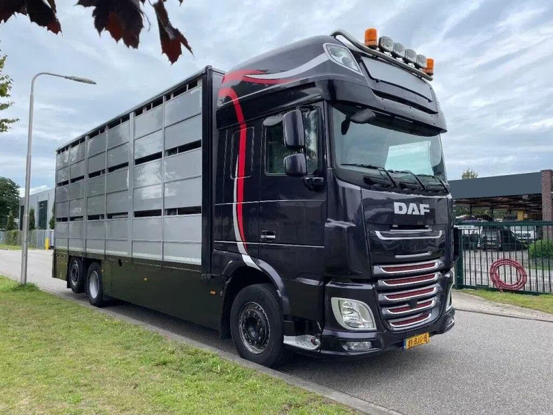 DAF XF 460 - Animal transporter - Camião transporte de gado: foto 2 DAF XF 460 - Animal transporter - Camião transporte de gado: foto 2