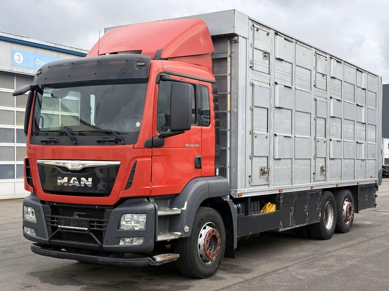 MAN TGS 26.440 - Animal transporter - Camião transporte de gado: foto 1 MAN TGS 26.440 - Animal transporter - Camião transporte de gado: foto 1