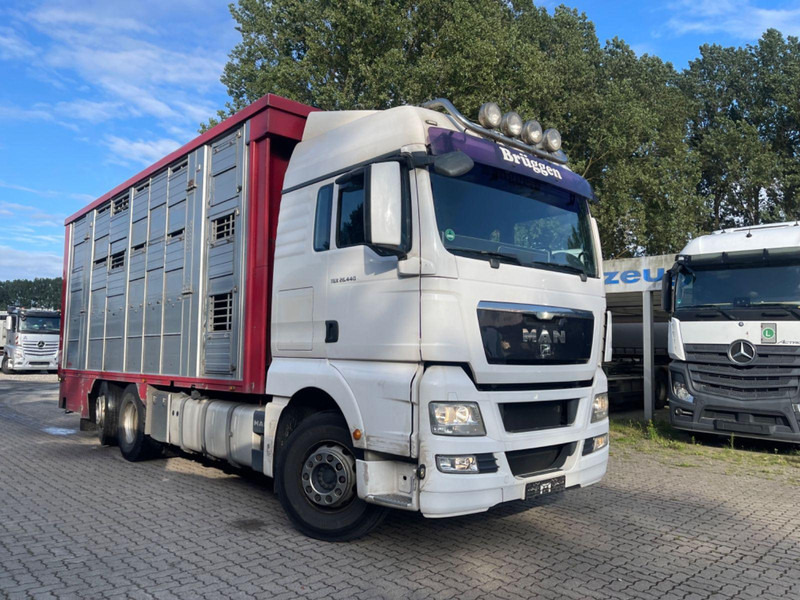 MAN TGX 26.400 6x2-2 LL 3 Stück Finkl Hubdach - Camião transporte de gado: foto 5 MAN TGX 26.400 6x2-2 LL 3 Stück Finkl Hubdach - Camião transporte de gado: foto 5
