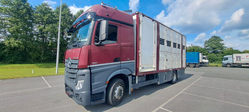 Mercedes-Benz Actros 1851 - Camião transporte de gado: foto 1 Mercedes-Benz Actros 1851 - Camião transporte de gado: foto 1