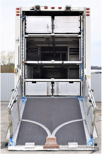 Scania R 500 - Camião transporte de gado: foto 4 Scania R 500 - Camião transporte de gado: foto 4