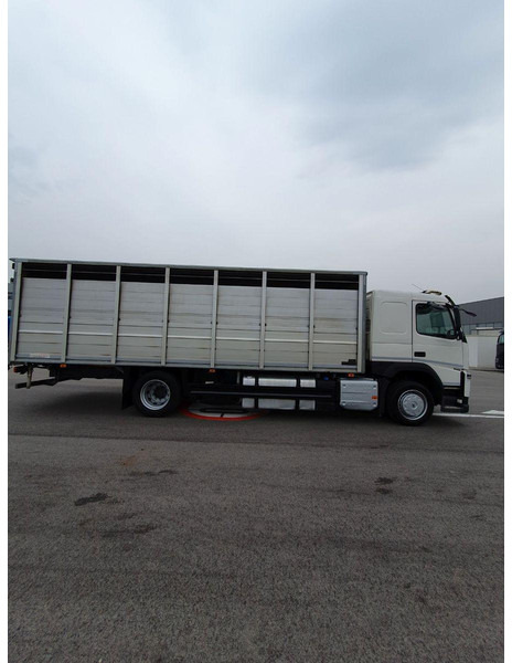 Volvo FM 500 Viehtransporter ( Rind / beef ) - Camião transporte de gado: foto 4 Volvo FM 500 Viehtransporter ( Rind / beef ) - Camião transporte de gado: foto 4