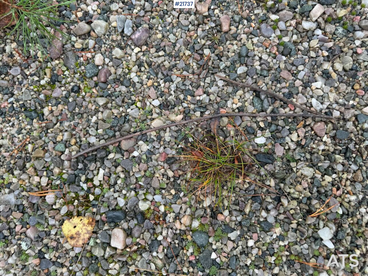 Correia transportadora Transportbånd 3 stk: foto 15 Correia transportadora Transportbånd 3 stk: foto 15