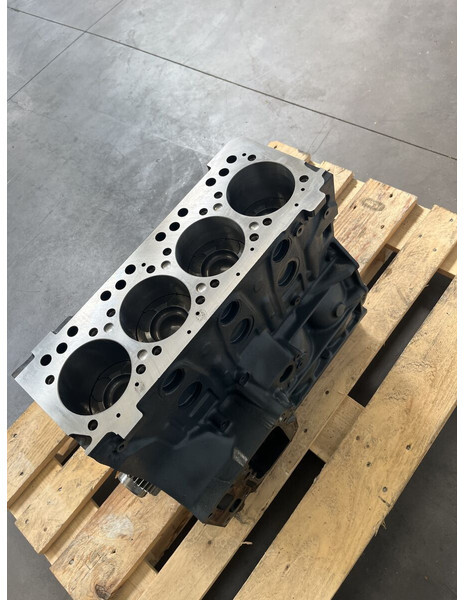 MAN TGL TGM D0834 RECONDITIONED WITH WARRANTY - Motor por Camião: foto 2 MAN TGL TGM D0834 RECONDITIONED WITH WARRANTY - Motor por Camião: foto 2