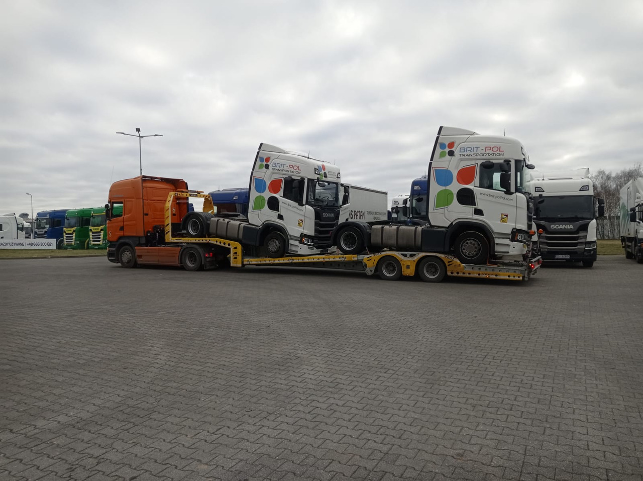 Semi-reboque transporte de veículos para transporte de máquinas pesadas novo VEGA-S (2 AXLE TRUCK CARRIER): foto 18