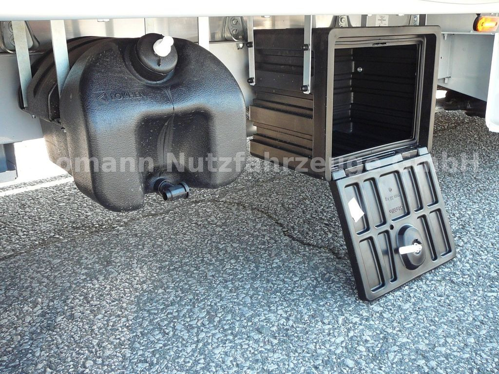 Carrinha de lona novo Renault Master by Trucks Pritsche Plane LBW Vollalu: foto 10