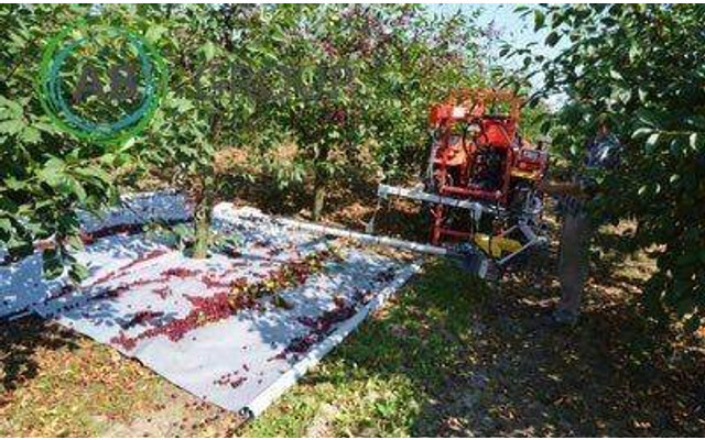Jagoda otrząsarka do owoców pestkowych PESTKA - Maquina para lavrar a terra: foto 3 Jagoda otrząsarka do owoców pestkowych PESTKA - Maquina para lavrar a terra: foto 3