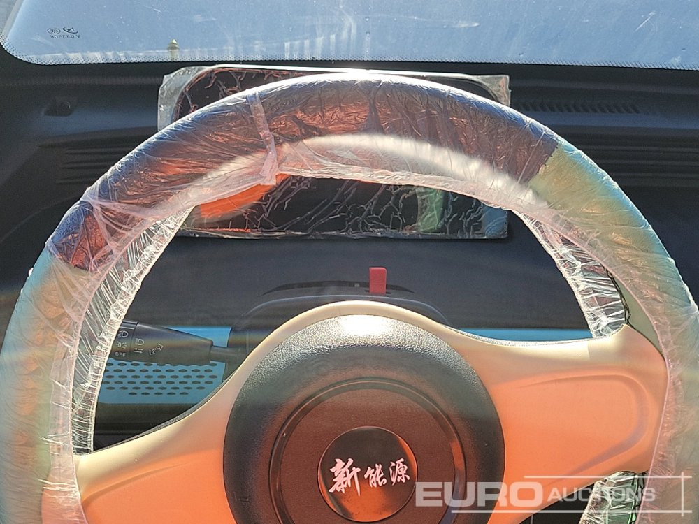 Carrinho de golfe 2025 Raccoon RC-G150: foto 21