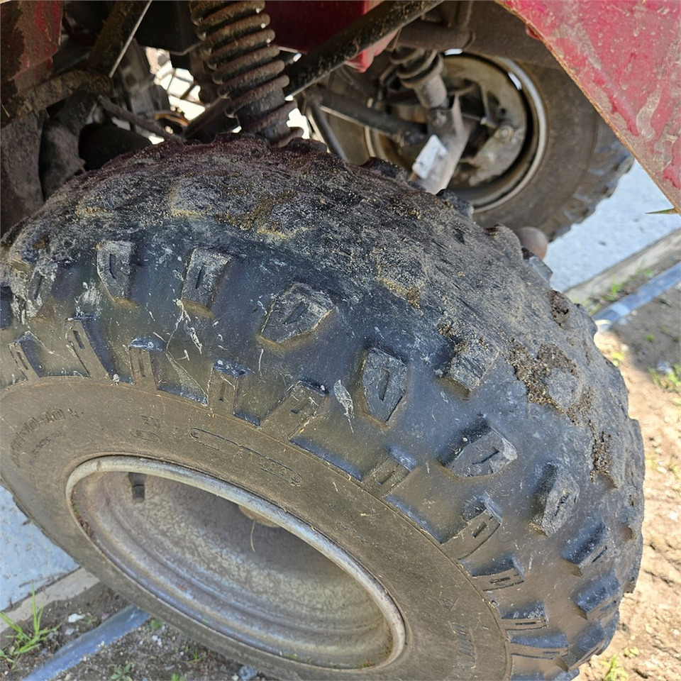 Quadriciclo Kawasaki KLF 250: foto 31