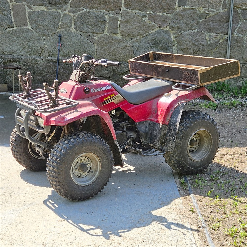 Kawasaki KLF 250 - Quadriciclo: foto 1 Kawasaki KLF 250 - Quadriciclo: foto 1