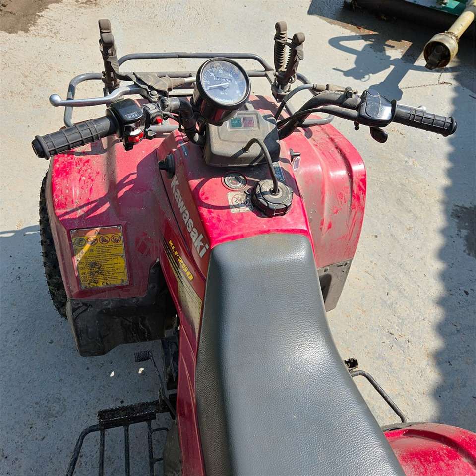 Quadriciclo Kawasaki KLF 250: foto 8