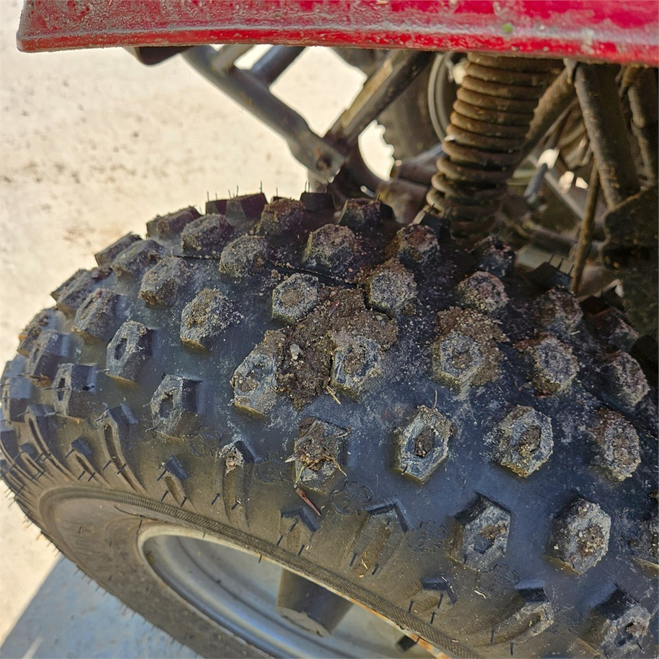 Quadriciclo Kawasaki KLF 250: foto 29