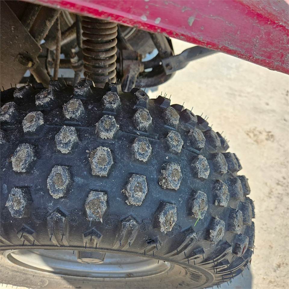 Quadriciclo Kawasaki KLF 250: foto 27