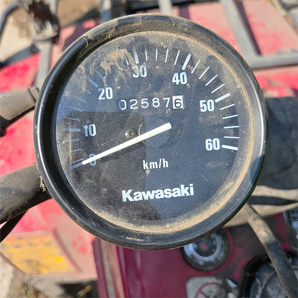 Quadriciclo Kawasaki KLF 250: foto 10