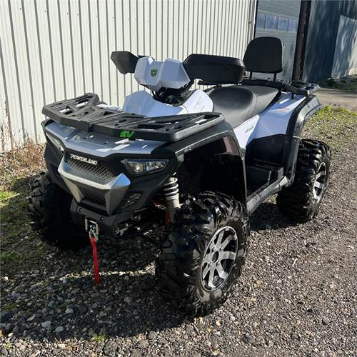 Quadriciclo Powerland Tachyon: foto 11 Quadriciclo Powerland Tachyon: foto 11