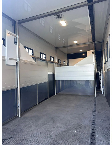 Scania P250 Horse Truck - Camião de transporte de cavalos: foto 5 Scania P250 Horse Truck - Camião de transporte de cavalos: foto 5