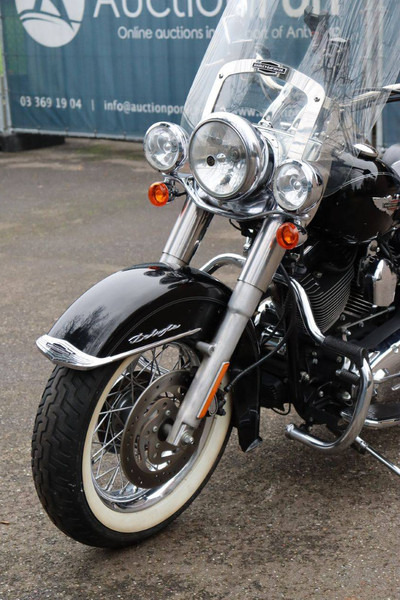 Motocicleta Harley-Davidson Softail Deluxe: foto 10 Motocicleta Harley-Davidson Softail Deluxe: foto 10