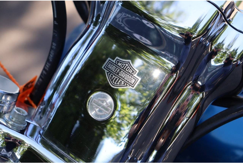 Motocicleta Harley-Davidson Sporster XL1200 Custom: foto 15 Motocicleta Harley-Davidson Sporster XL1200 Custom: foto 15