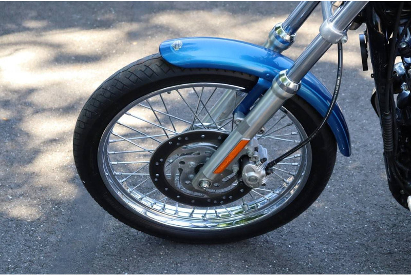 Motocicleta Harley-Davidson Sporster XL1200 Custom: foto 10 Motocicleta Harley-Davidson Sporster XL1200 Custom: foto 10