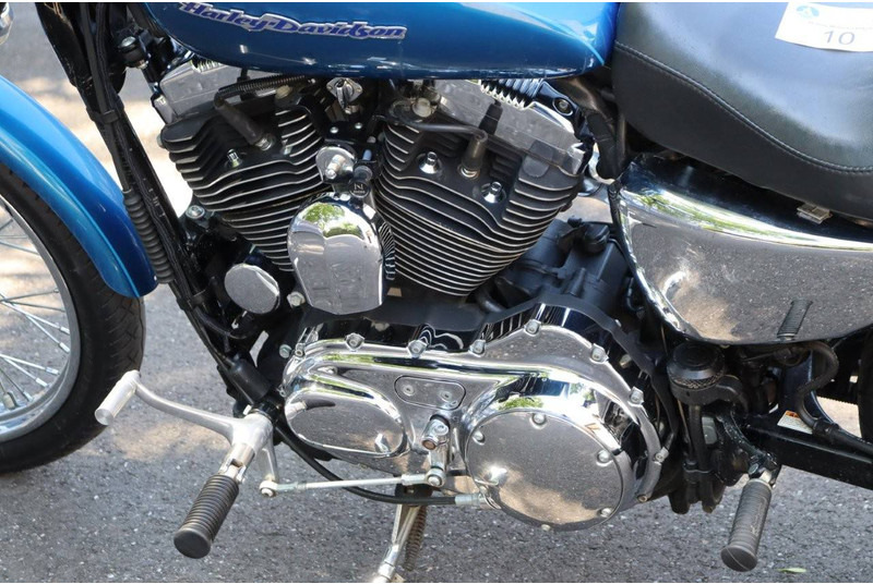 Motocicleta Harley-Davidson Sporster XL1200 Custom: foto 18 Motocicleta Harley-Davidson Sporster XL1200 Custom: foto 18