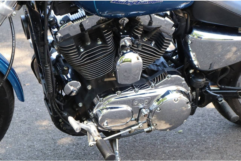 Motocicleta Harley-Davidson Sporster XL1200 Custom: foto 19 Motocicleta Harley-Davidson Sporster XL1200 Custom: foto 19