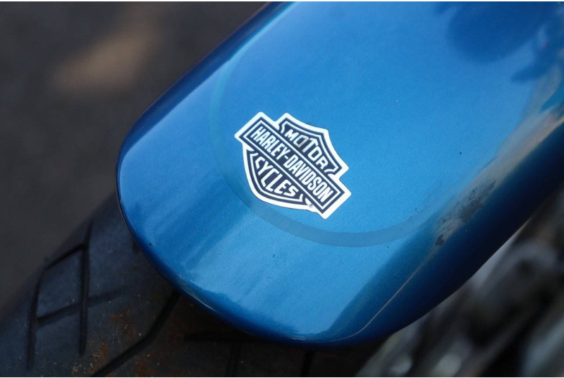 Motocicleta Harley-Davidson Sporster XL1200 Custom: foto 11 Motocicleta Harley-Davidson Sporster XL1200 Custom: foto 11