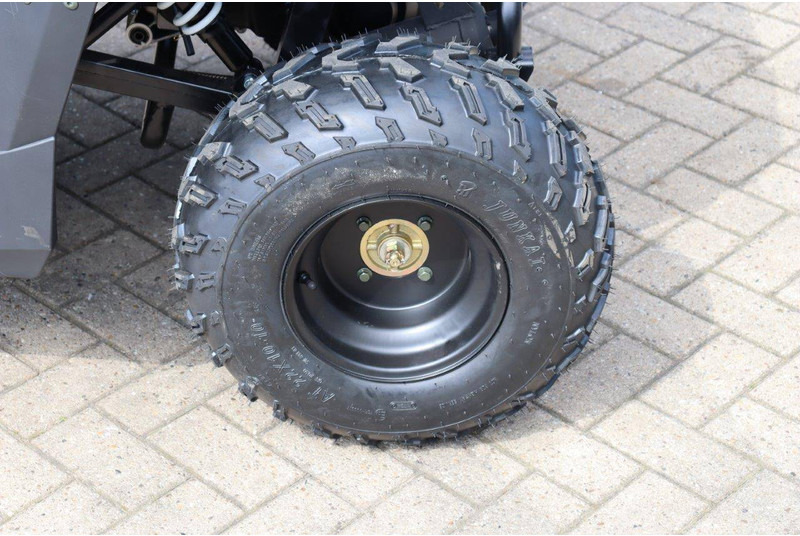 Carrinho de golfe novo Wextrem UTV-ATV 200Pro: foto 14 Carrinho de golfe novo Wextrem UTV-ATV 200Pro: foto 14