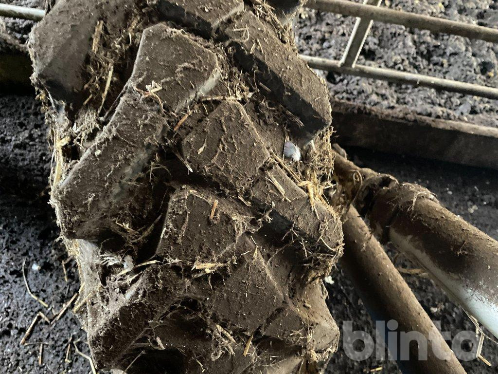 Överum - Arado: foto 5 Överum - Arado: foto 5