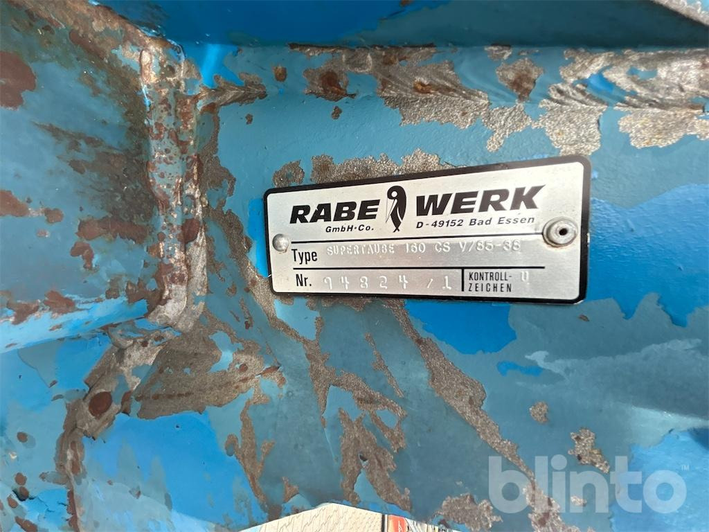 Rabe Supertaube - Arado: foto 5 Rabe Supertaube - Arado: foto 5